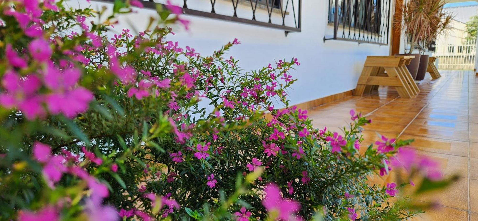 Apartamento Casa Hoffmann Pomerode Buitenkant foto